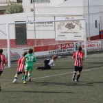 _MG_019499 (1)