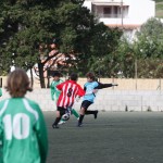 _MG_019499 (10)