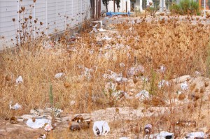 Entre el campo del Independiente y el Palma Arena hay un nido de basura